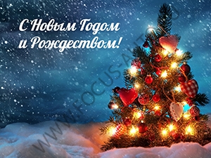 С наступающим 2019 годом и Рождеством! С наступающим 2019 годом и Рождеством!