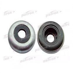 PSE4170