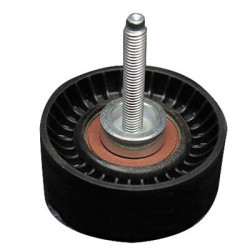 BT1013M
