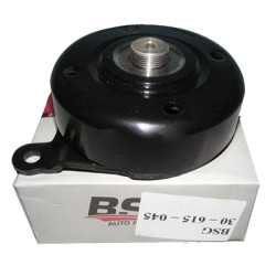 BSG30615045