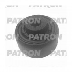 PSE11702