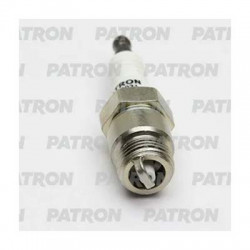 SPP3031